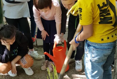 IMG-20230518-WA0011[1]